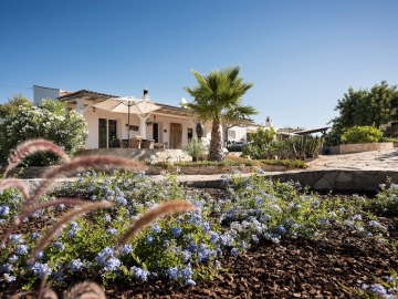 Maya 2 - Holiday home villa in São Brás de Alportel, Algarve