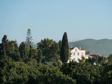 Quinta da Donalda  - Holiday home villa in Portimão, Algarve