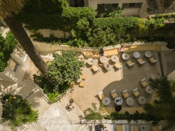 Apollo Palm Hotel - Bed and Breakfast in Athens, Attica